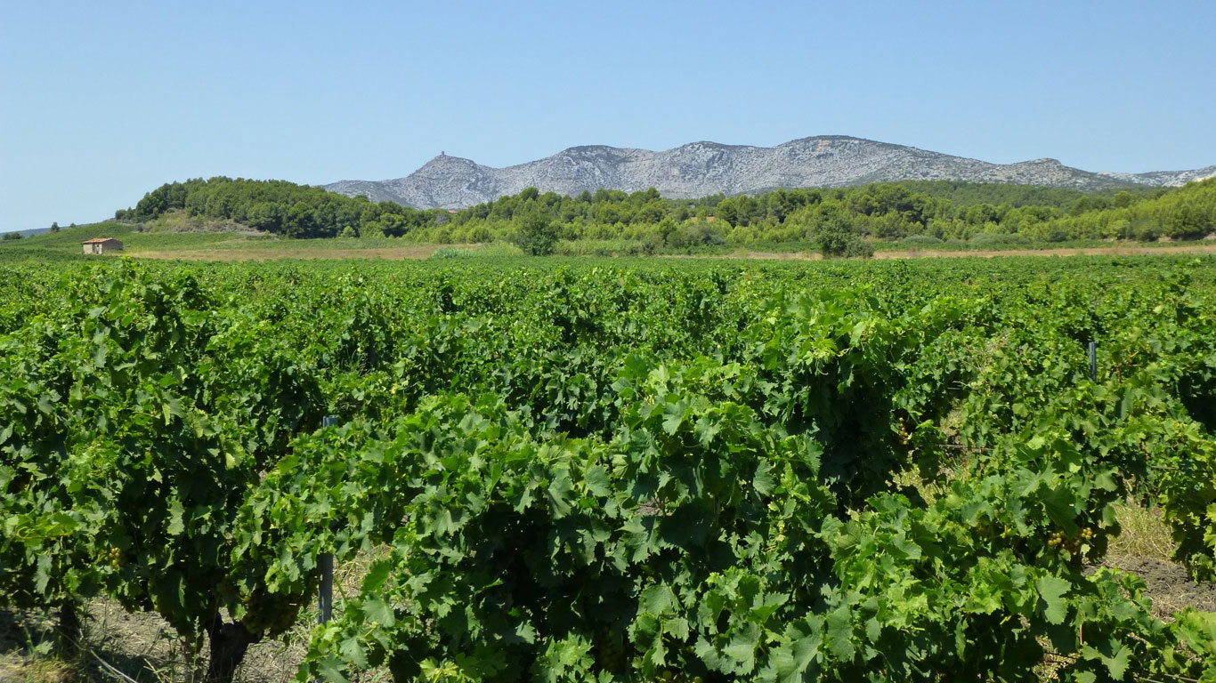 domaine gardies