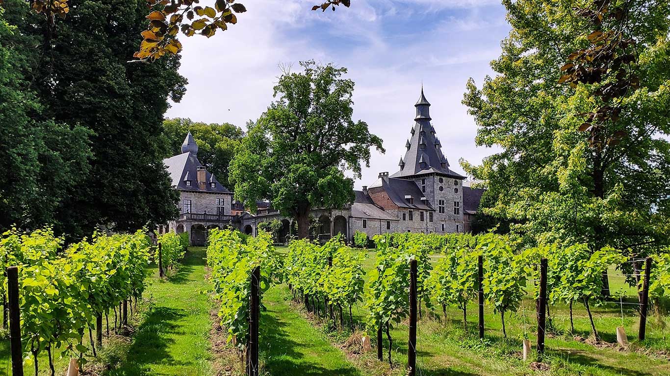 chateau de bioul