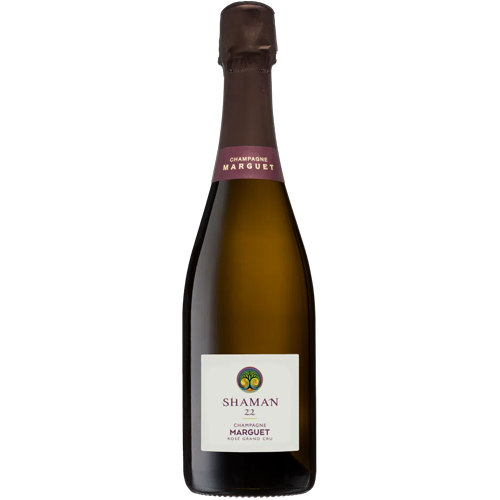 marguet shaman rose