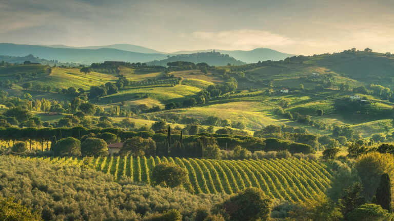 grands vins italiens